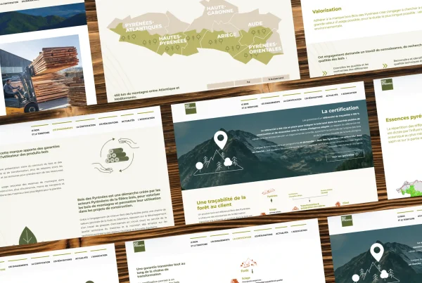 Mockup du site internet Bois des Pyrénées dans la filière forêt-bois