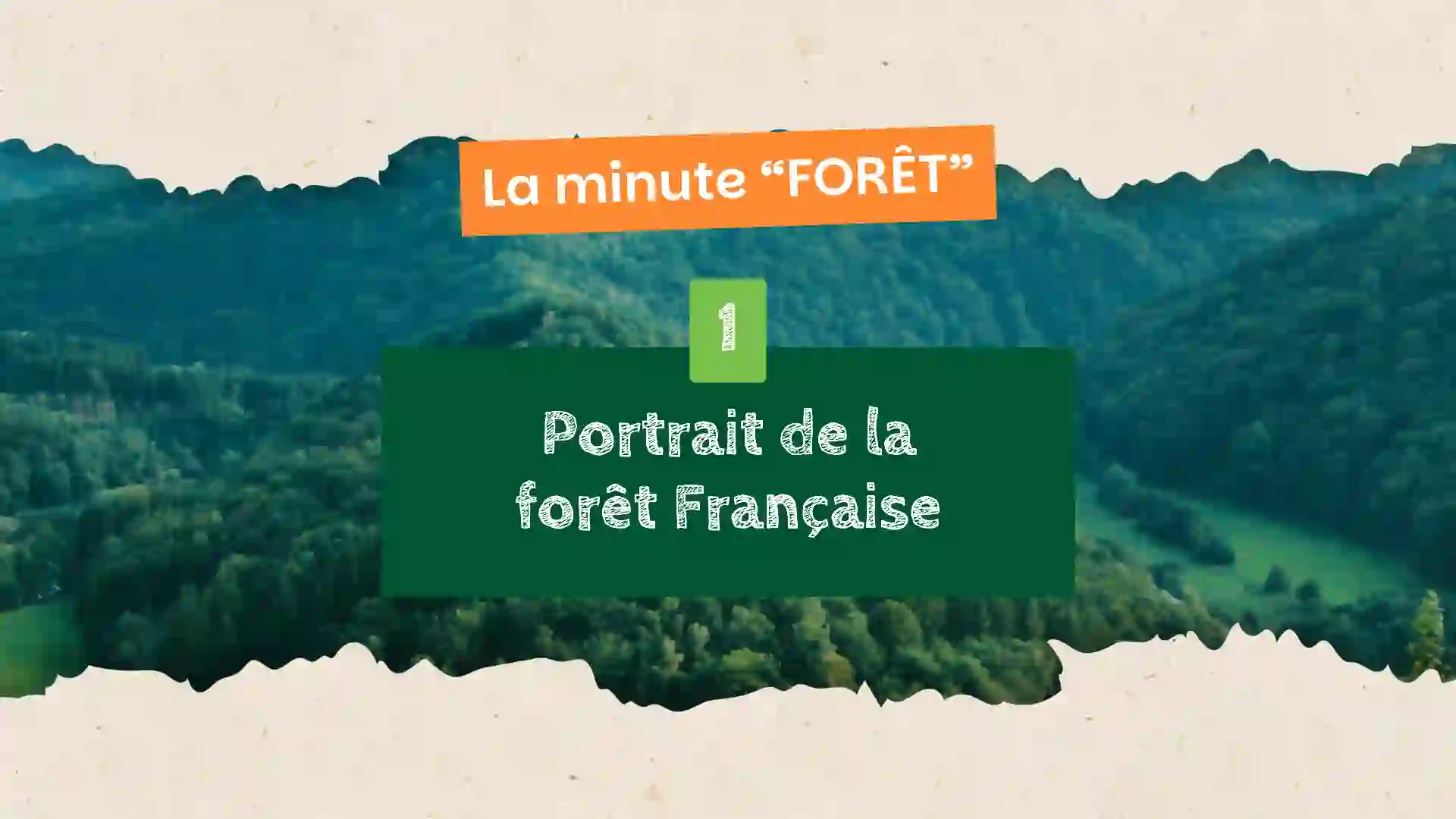 miniature youtube du premier épisode de la minute forêt podcast Du Pin sur la Planche